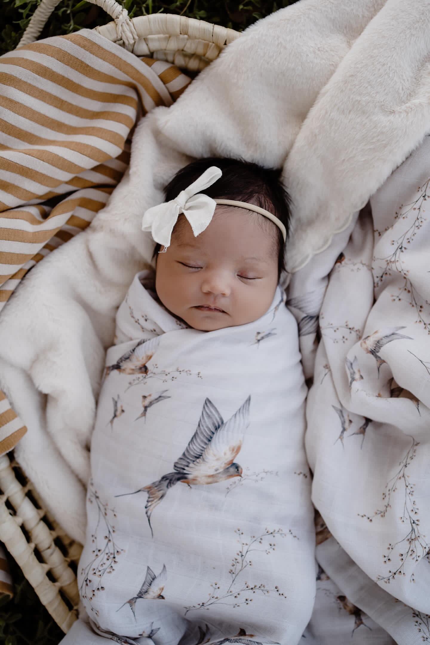 Pop Ya Tot - Nightingale Swaddle