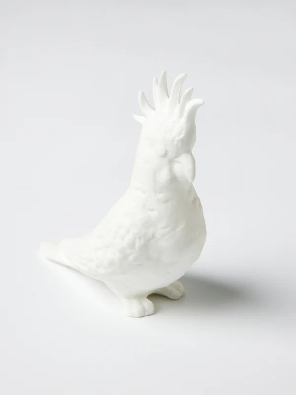 Jones & Co Mini Cockatoo
