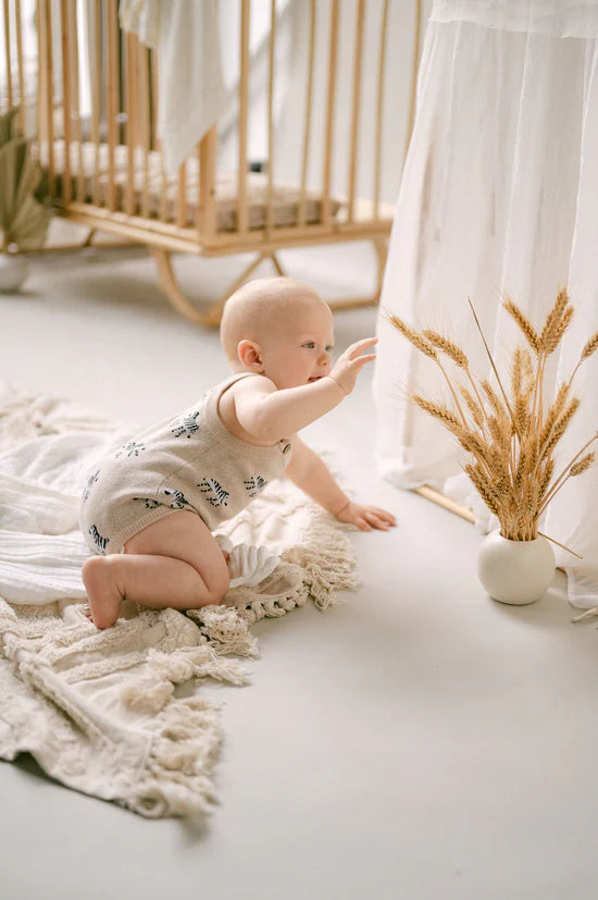 Aster & Oak - Zebra Knit Romper