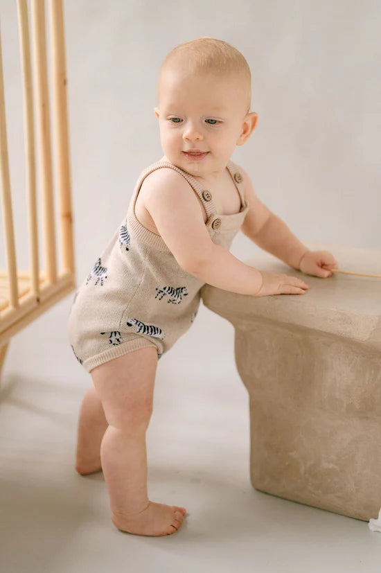 Aster & Oak - Zebra Knit Romper