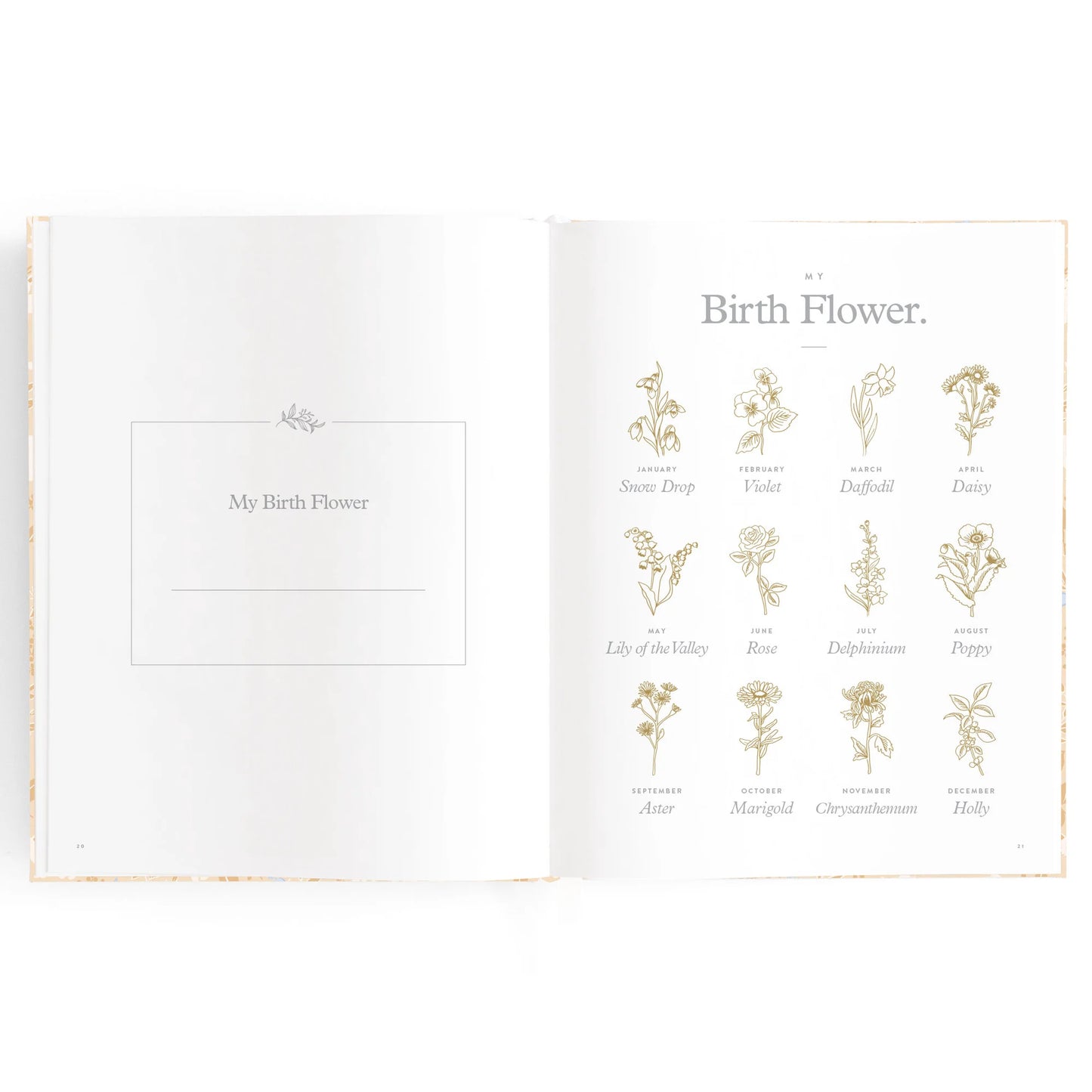 Fox & Fallow Baby Book Bluebell Boxed