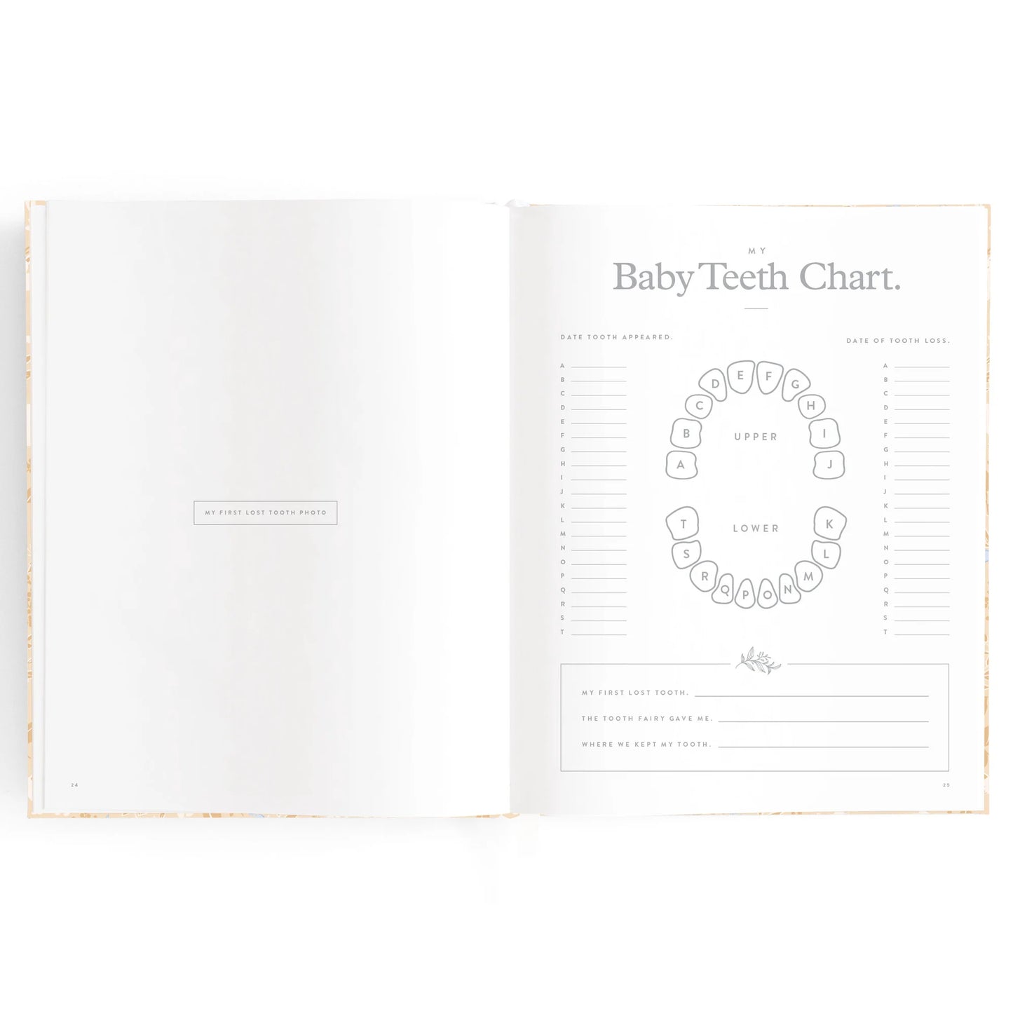 Fox & Fallow Baby Book Bluebell Boxed