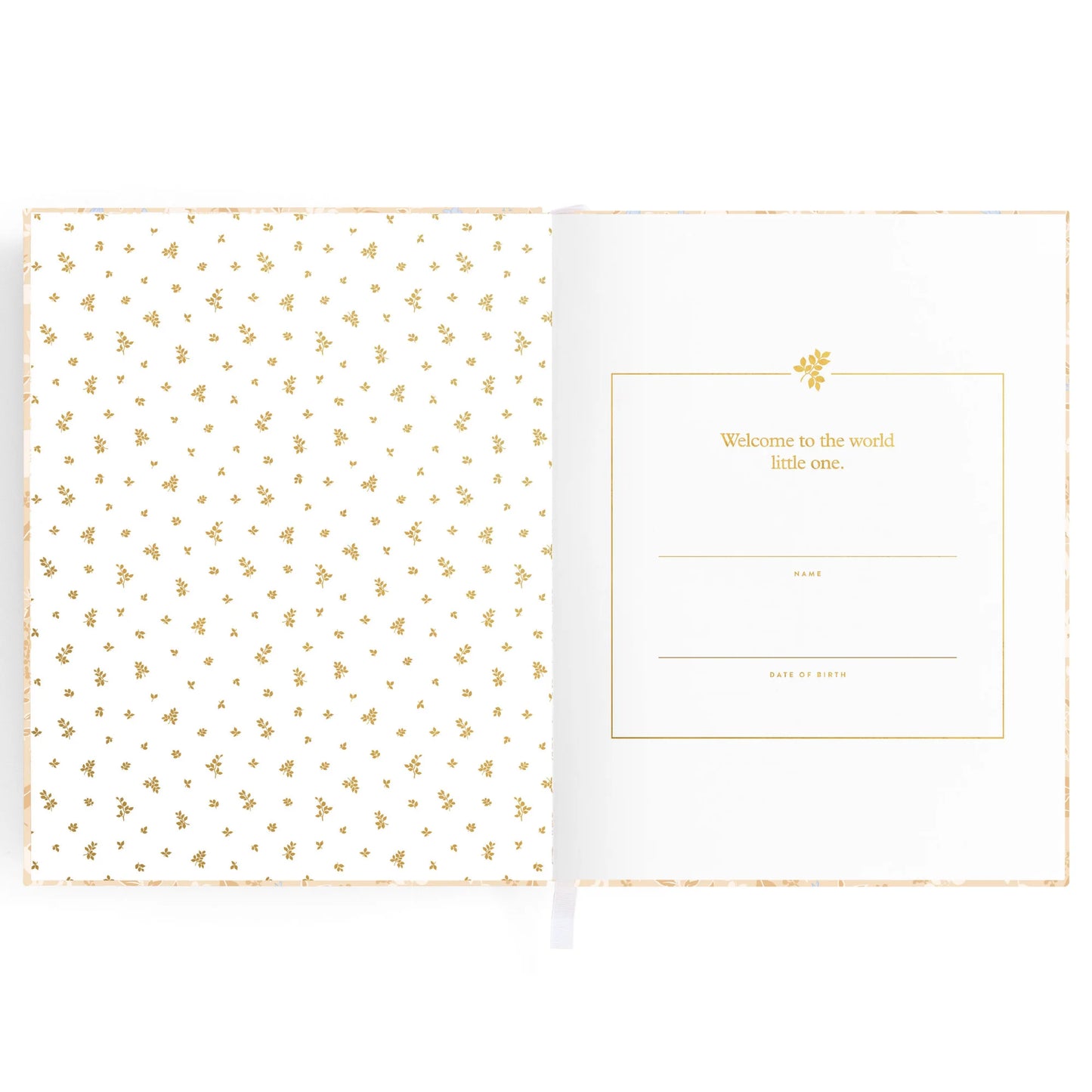 Fox & Fallow Baby Book Bluebell Boxed