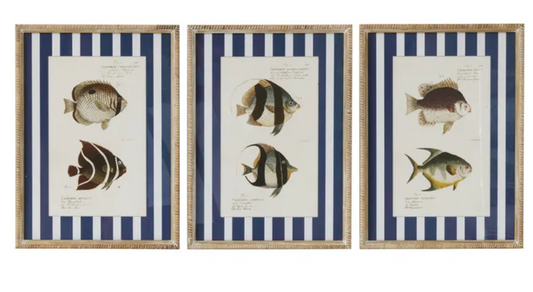 Coast to Coast Aquatic Frame Glass Print 40x55cm (3 Styles)