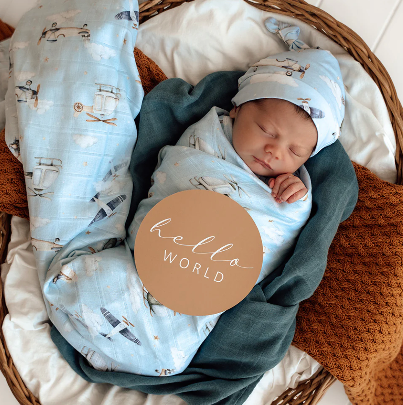 Snuggle Hunny Taking Flight & Pebble Reversible Milestone Cards