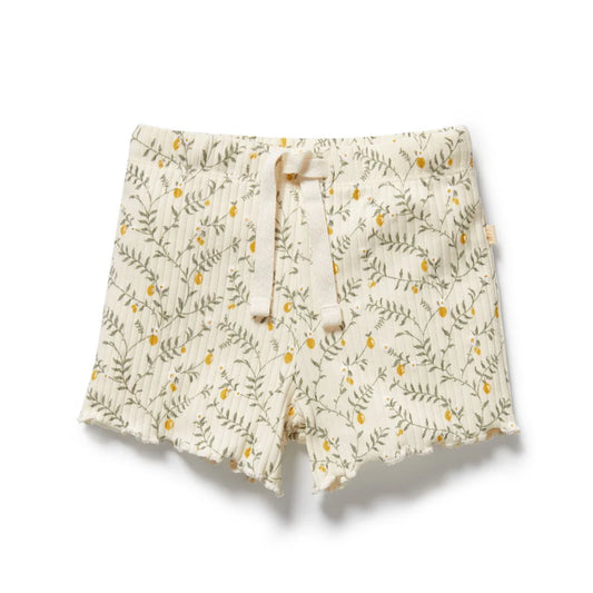 Wilson & Frenchy Lemon Leaf Organic Short
