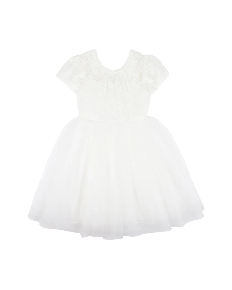 Bebe Lace Bodice w Back Bow Dress Mid Calf