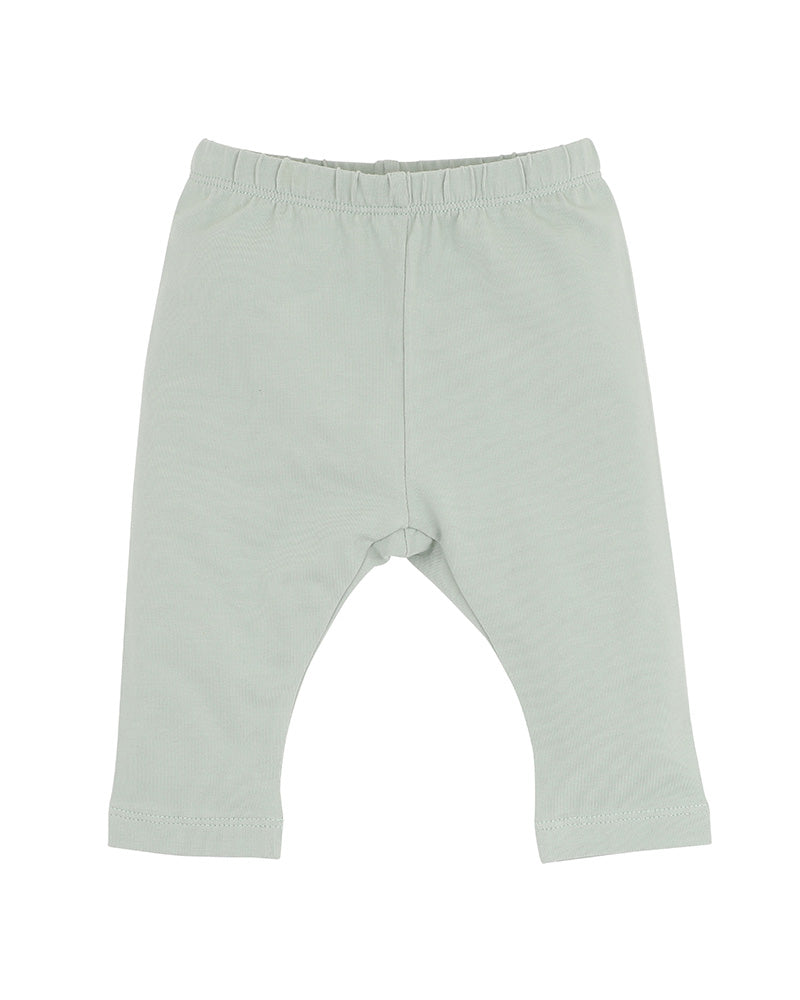 Bebe Molly Leggings