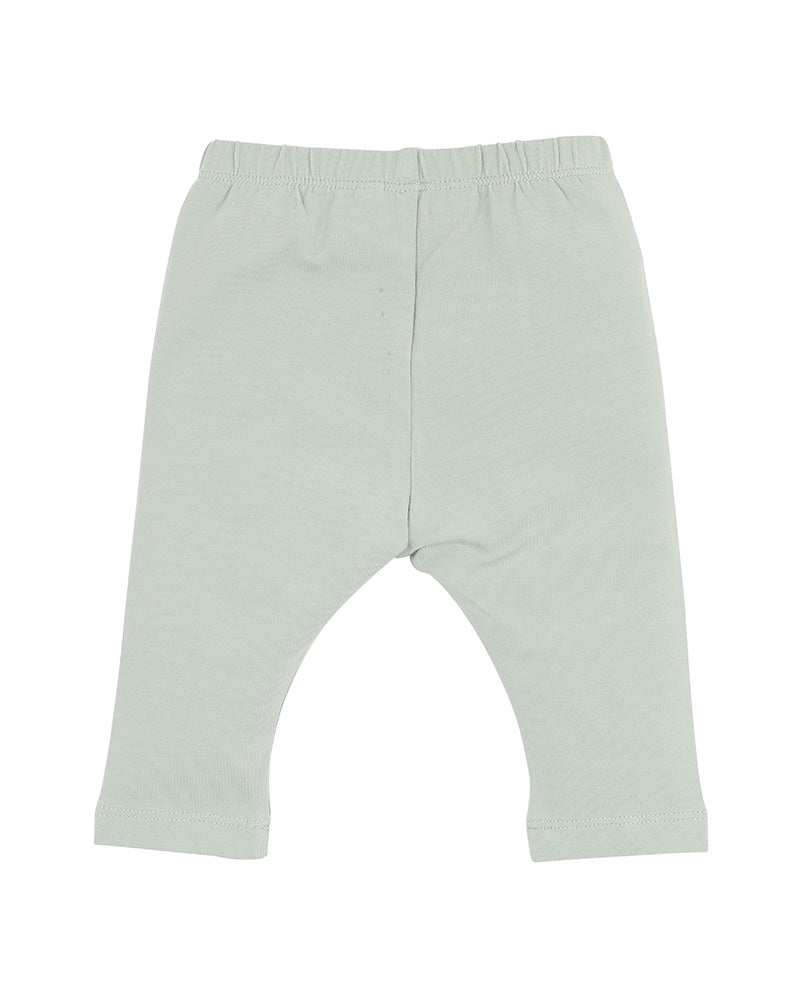 Bebe Molly Leggings