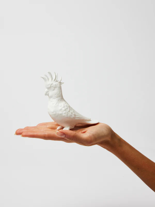 Jones & Co Mini Cockatoo