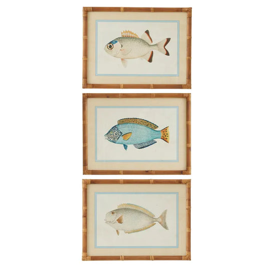 Coast to Coast Nemo Frame Glass Print 45x60cm 3 Asst