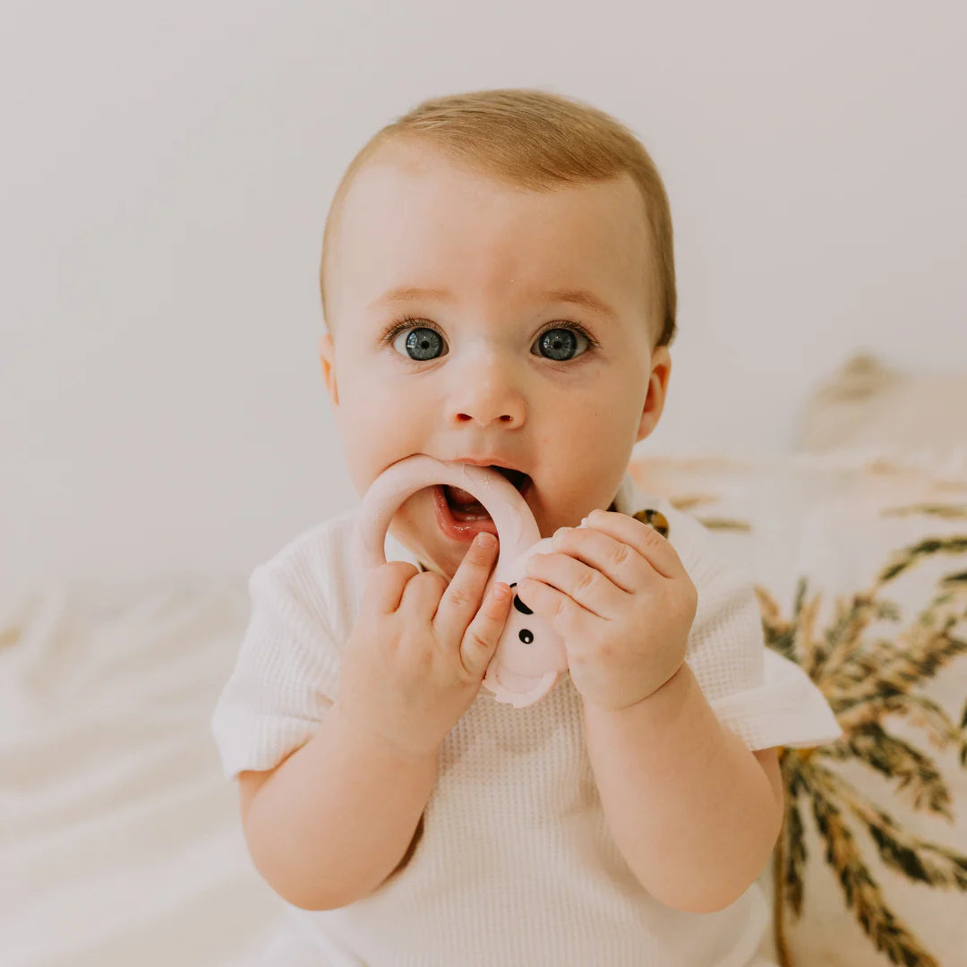 Jellystone Koala Teether