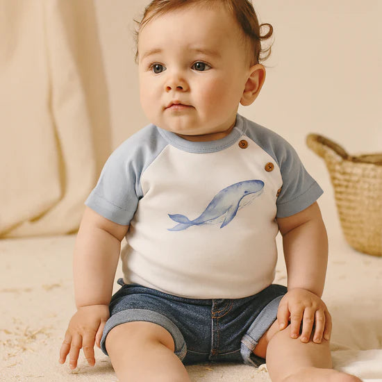 Aster and Oak Whale Print Raglan Tee