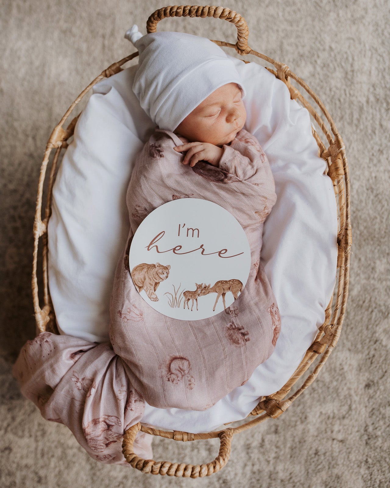 Snuggle Hunny Milestone Cards - Woodland & Cocoa