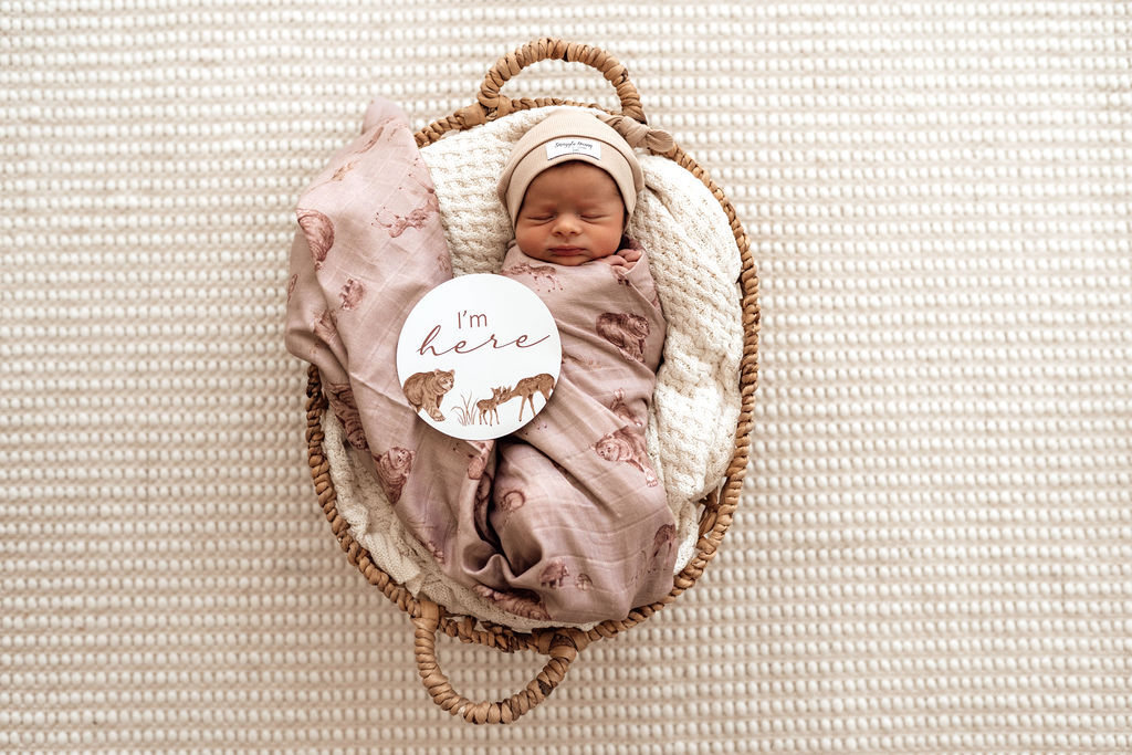 Snuggle Hunny Milestone Cards - Woodland & Cocoa