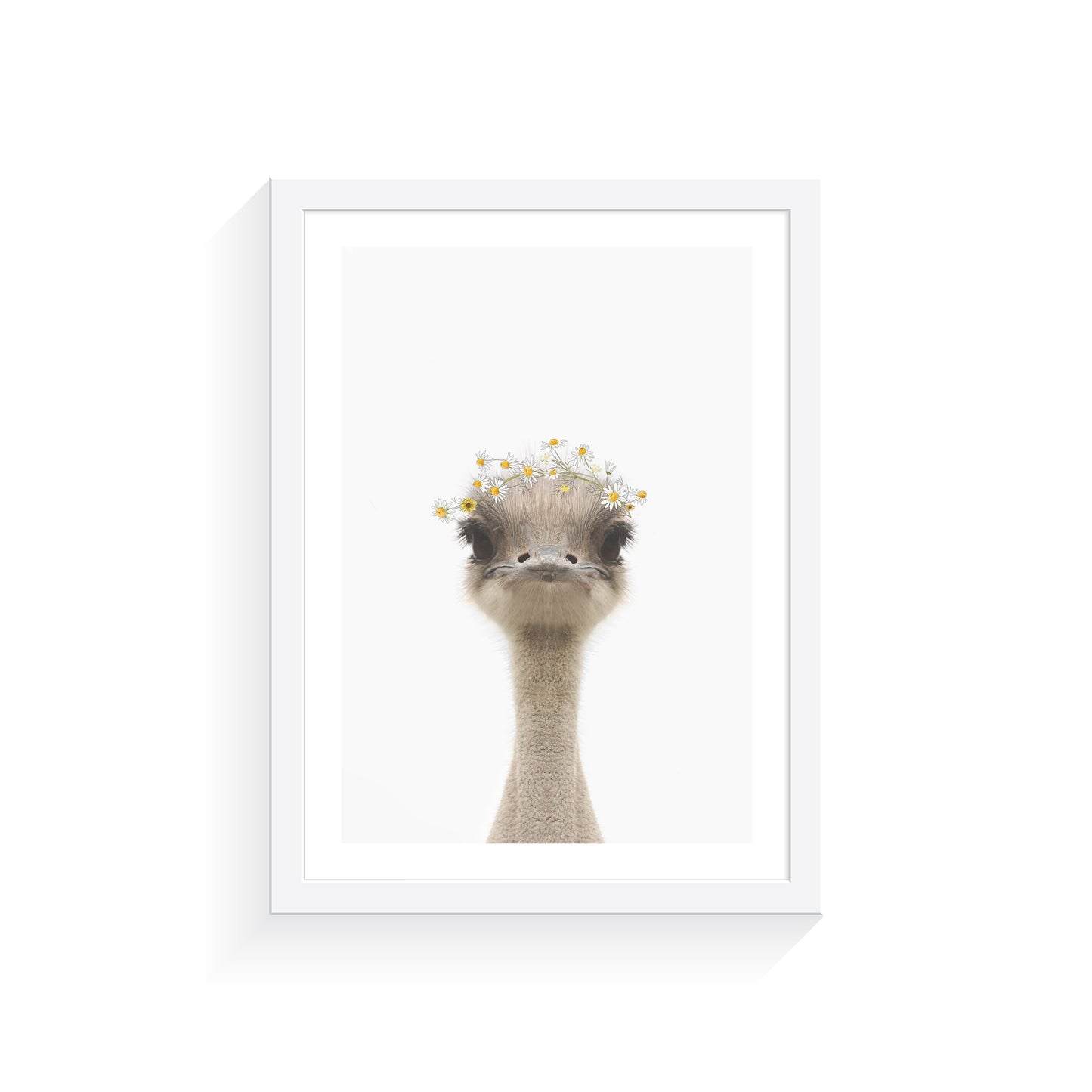 Arty Bub Australian Animal Prints | Daisy Crown