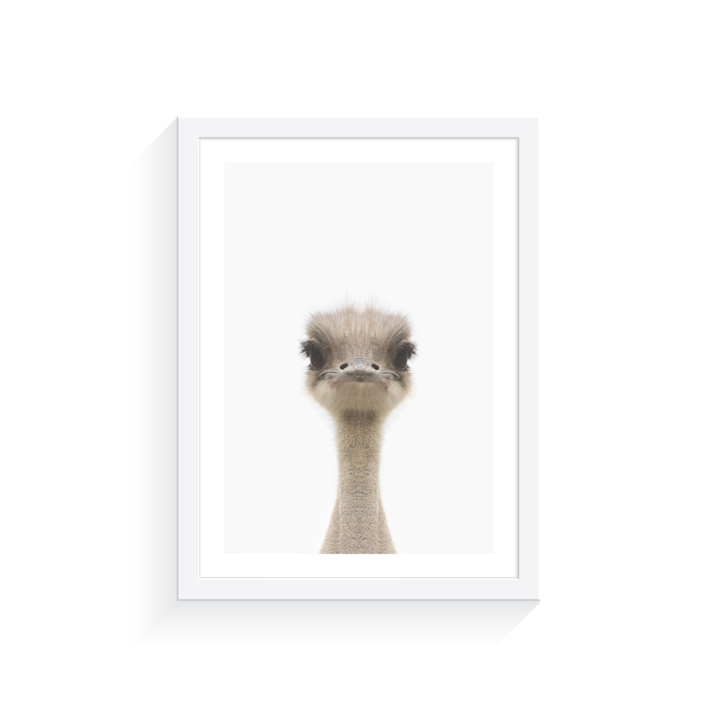 Arty Bub Australian Animal Prints