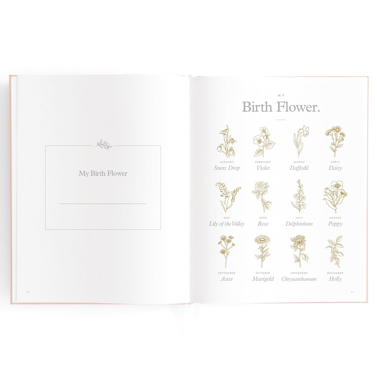 Fox and Fallow Biscuit Boxed Baby Book