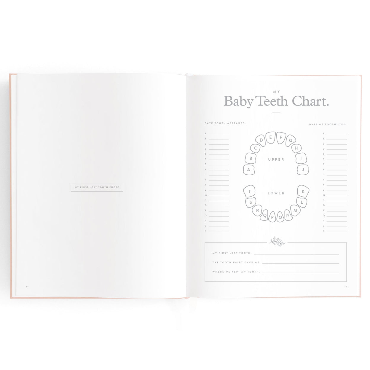 Fox and Fallow Rose Boxed Baby Book