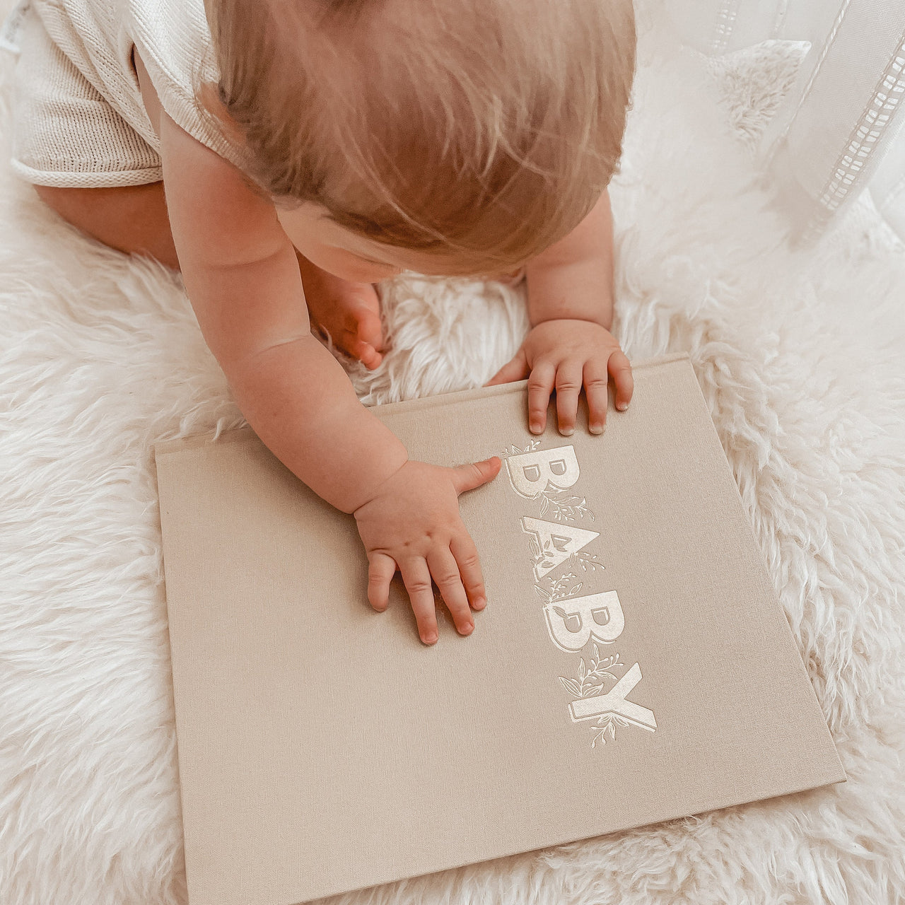 Fox and Fallow Biscuit Boxed Baby Book