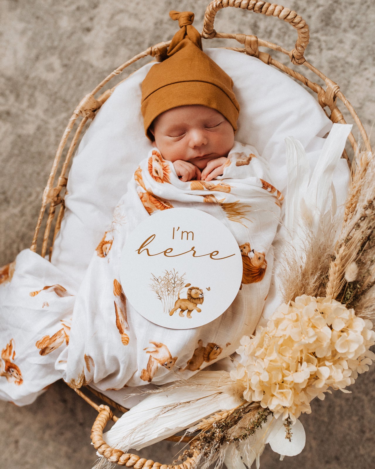 Snuggle Hunny Milestone Cards - Lion & Sunrise Gold