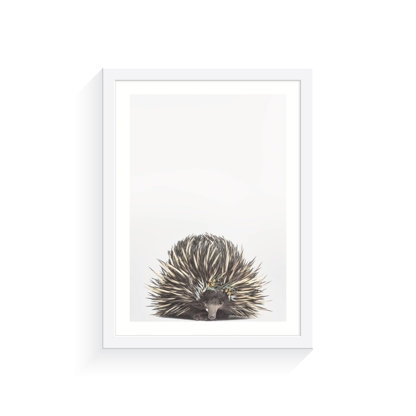 Arty Bub Australian Animal Prints | Eucalyptus Crown