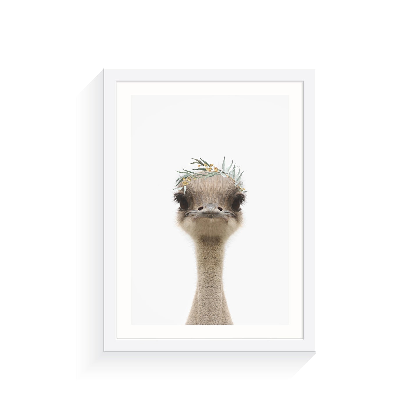Arty Bub Australian Animal Prints | Eucalyptus Crown