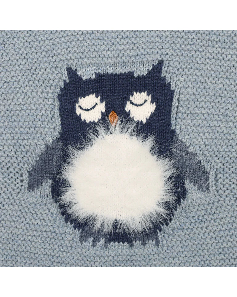 Bebe Dex Owl Wrap Jumper