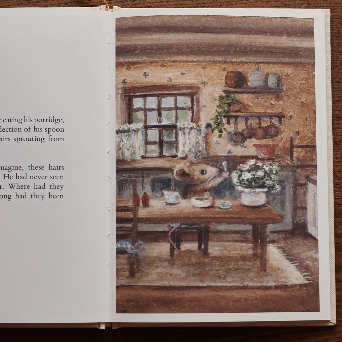 Fledge & Thread Mr Whisker Hardcover Book