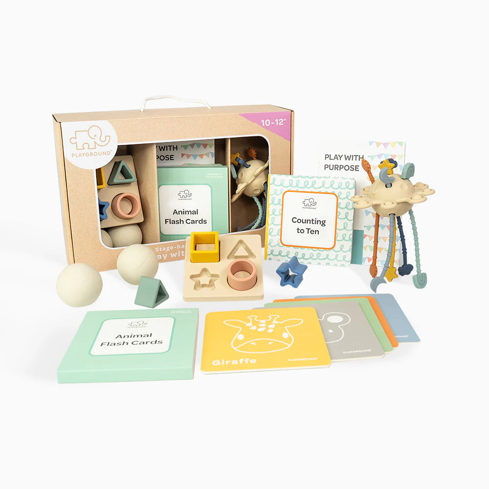 Playground Plus Box: Play with Purpose