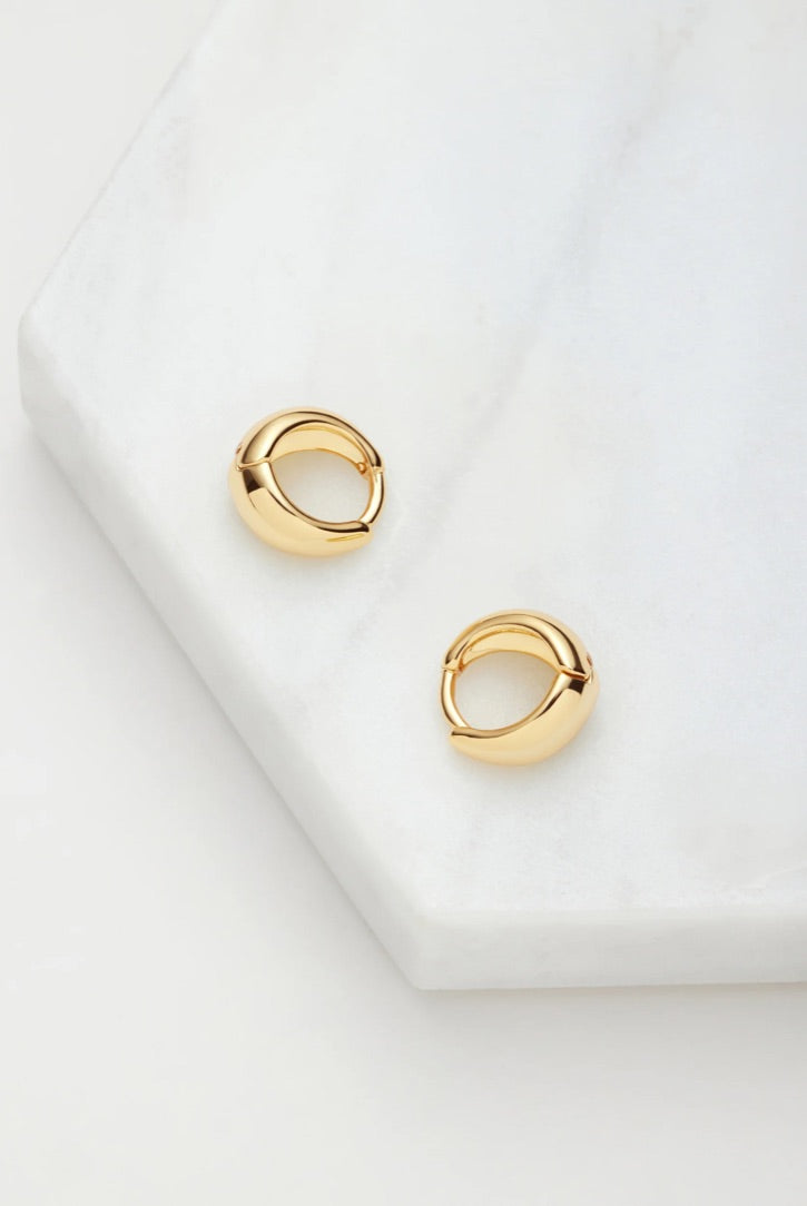 Zafino Steph Hoops Gold Earrings