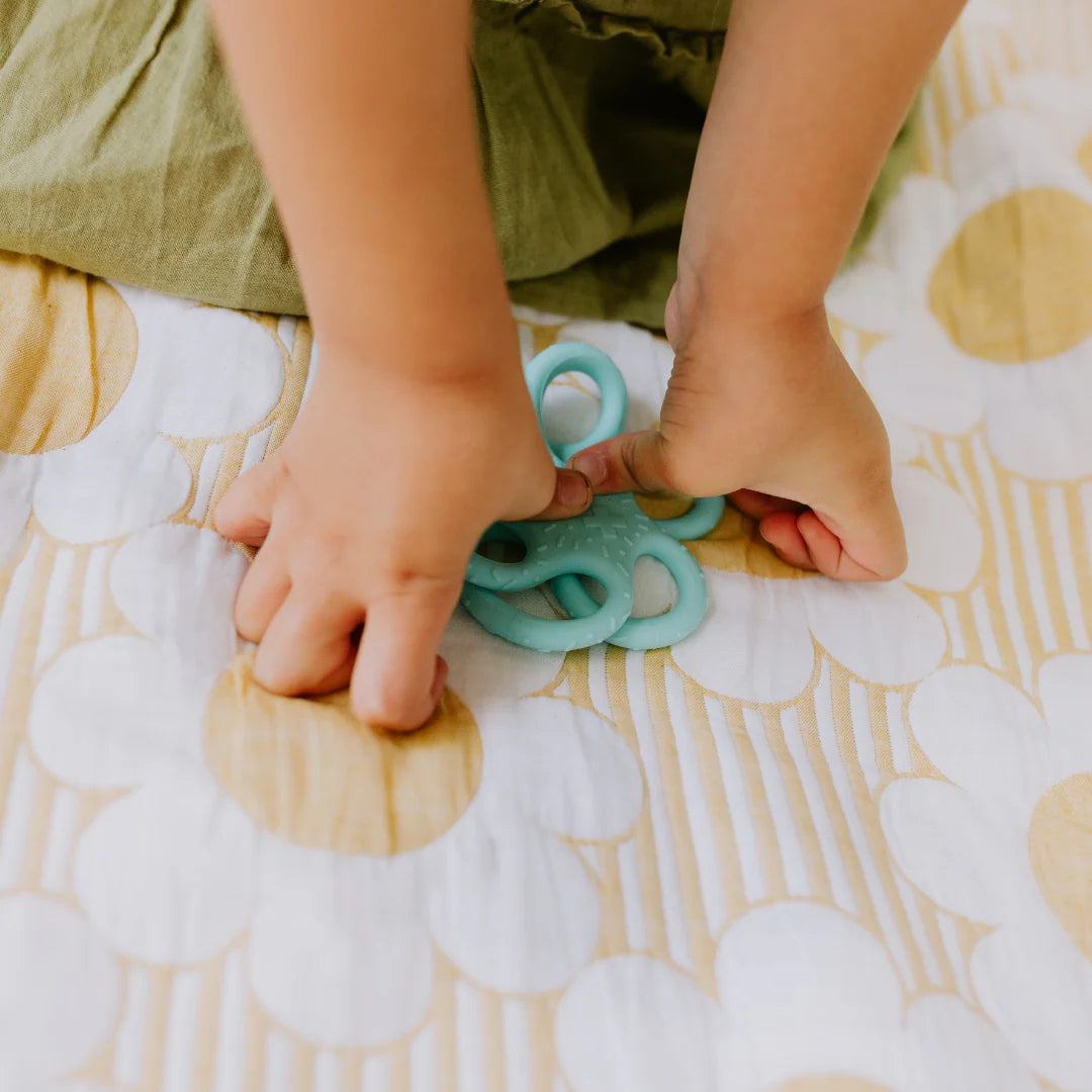 Jellystone 2 Pack Sensory Ball & Fidget Ball- Assorted