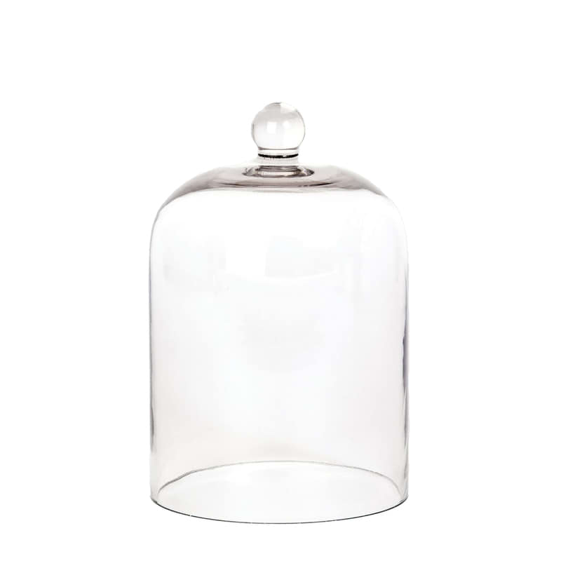 Palm Beach Collection Glass Cloche