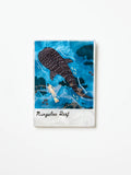 Jones & Co Snapshot Ningaloo Reef Tile