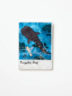 Jones & Co Snapshot Ningaloo Reef Tile