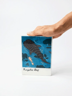 Jones & Co Snapshot Ningaloo Reef Tile