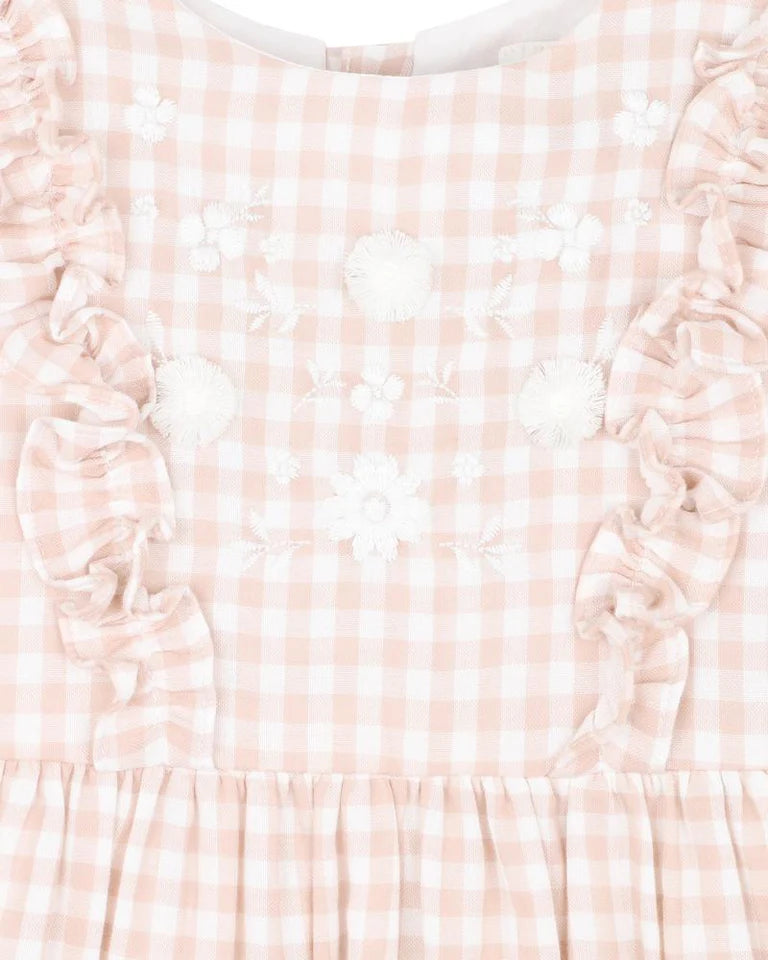 Bebe Morgan Gingham Dress