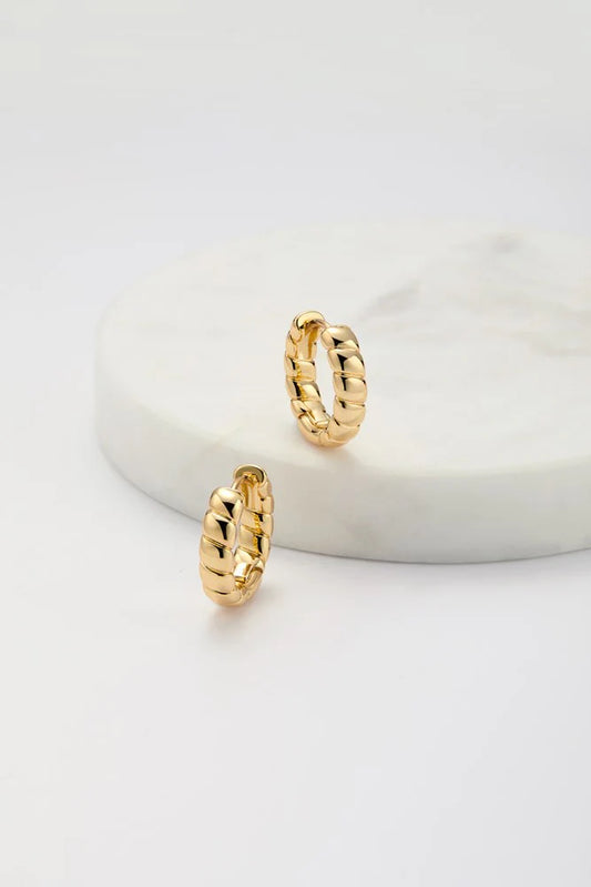 Zafino Macy Hoop Gold Earrings