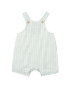 Bebe Evan Green Stripe Overalls