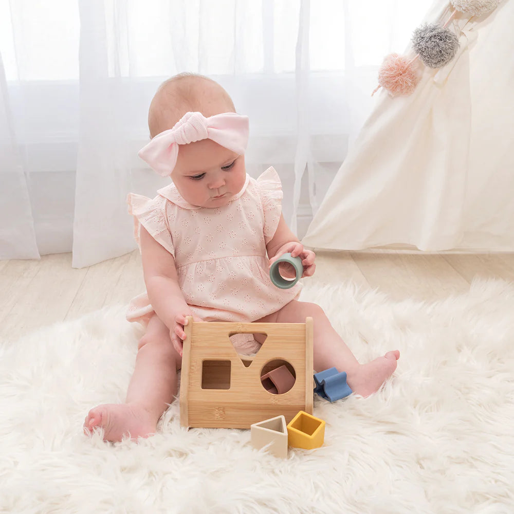 Playground House Sorter