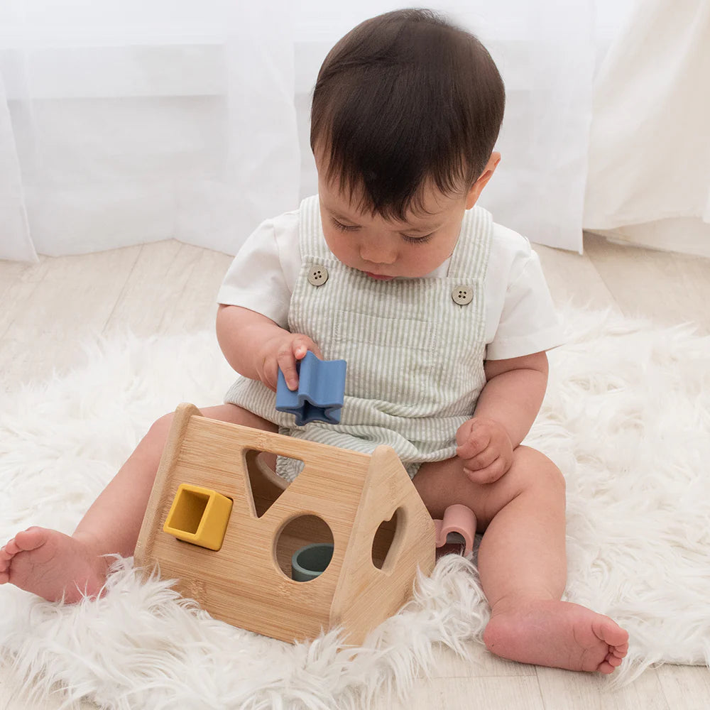 Playground House Sorter