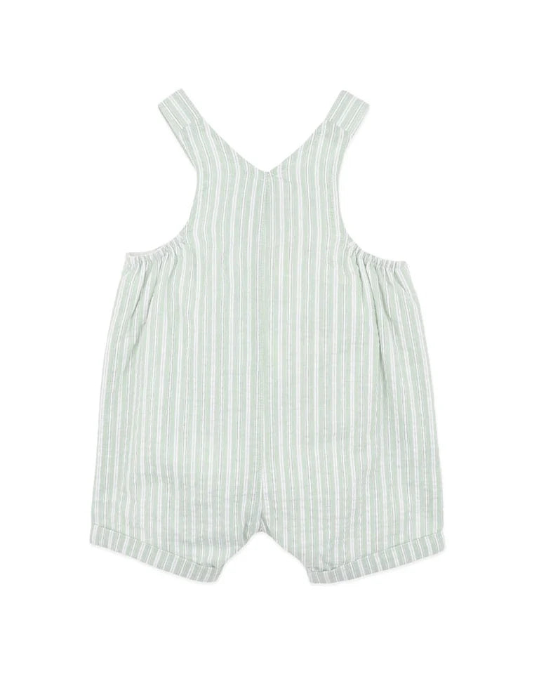 Bebe Evan Green Stripe Overalls