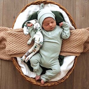 Snuggle Hunny Sage Organic Growsuit