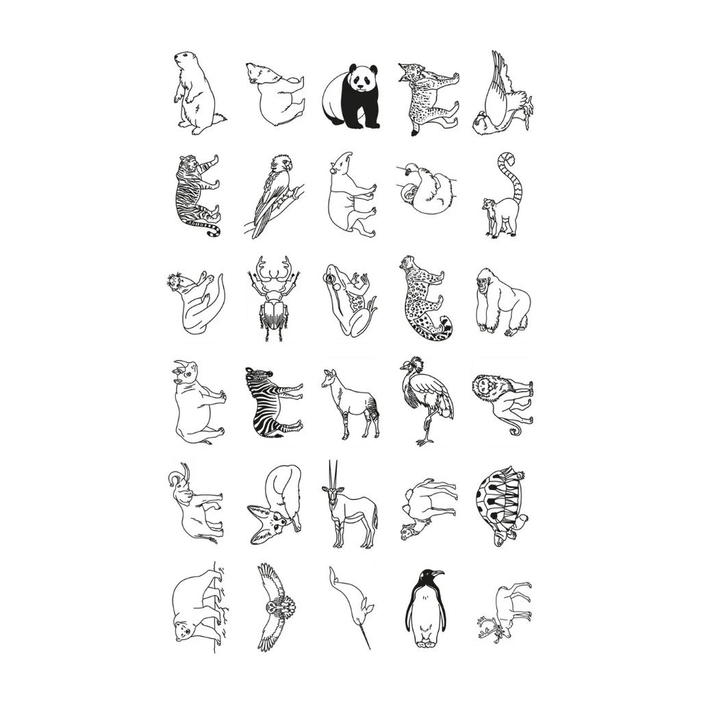 KidyWolf KidyDraw Mini - Animals Around the World