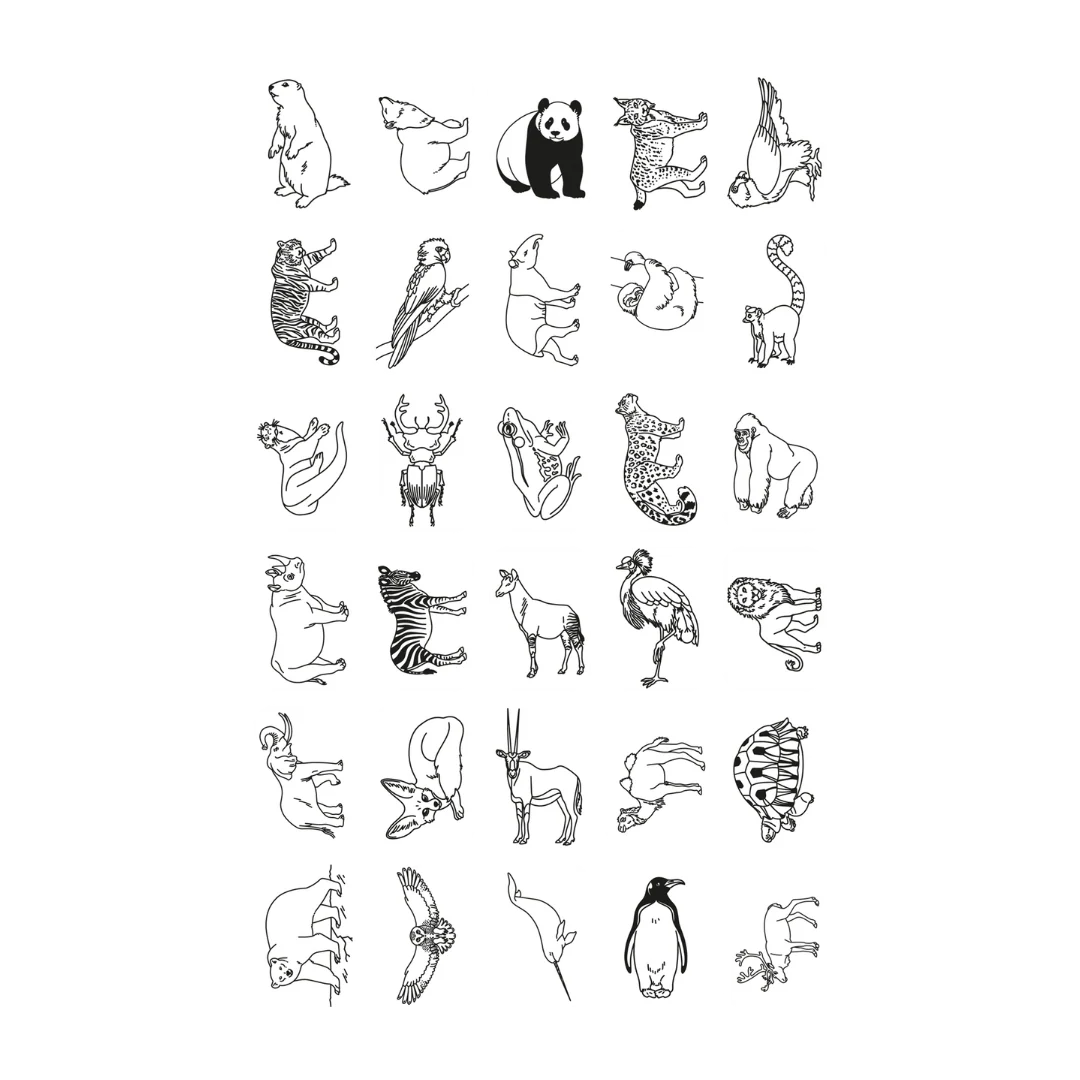 KidyWolf KidyDraw Mini - Animals Around the World