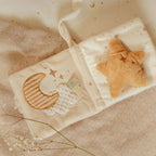 Little Dutch Little Goose Stroller Book