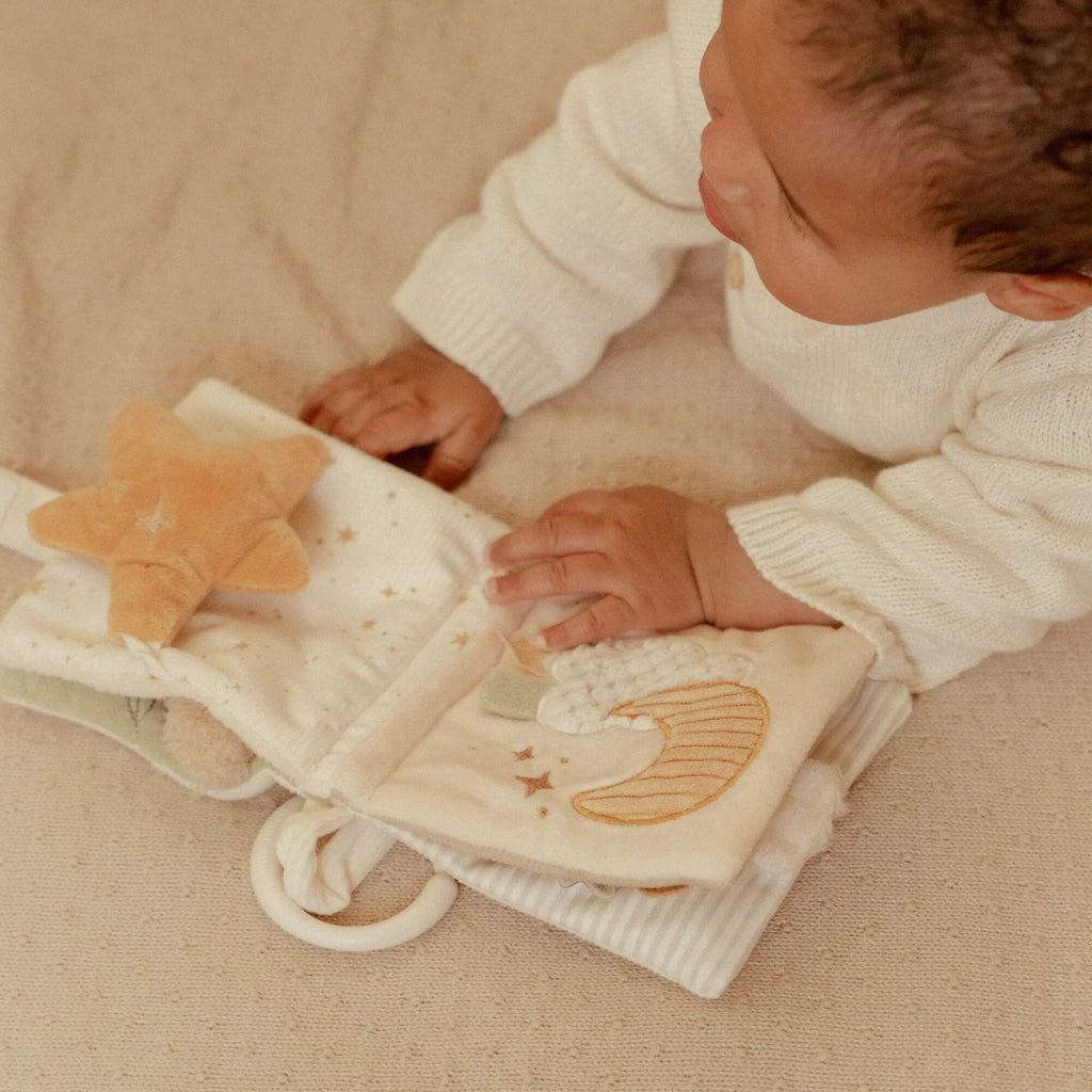 Little Dutch Little Goose Stroller Book