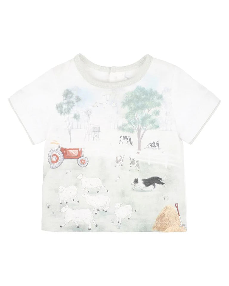 Bebe Chester farm Tee