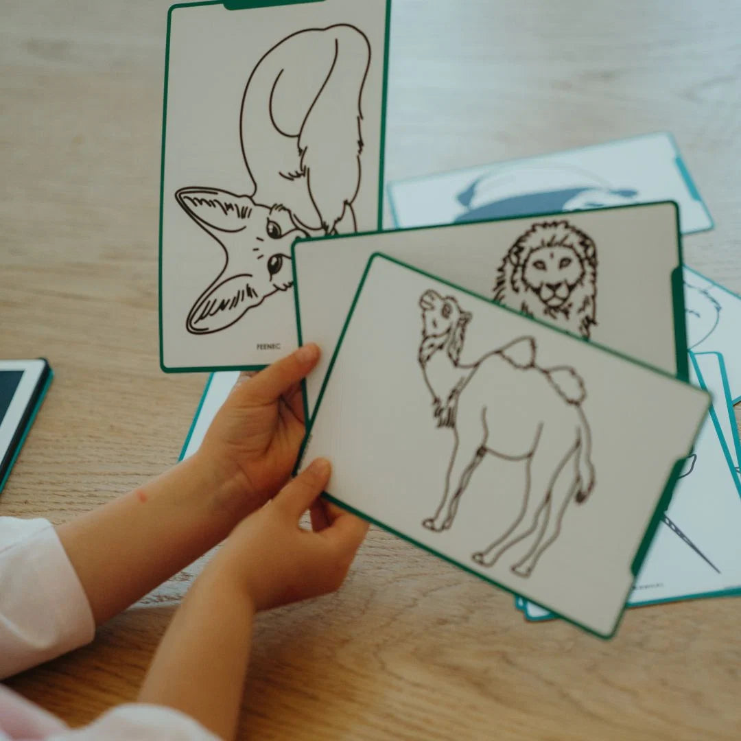 KidyWolf KidyDraw Mini - Animals Around the World