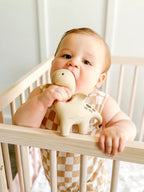 Winnie Parkes Diplo the Dino-Dragon Teether